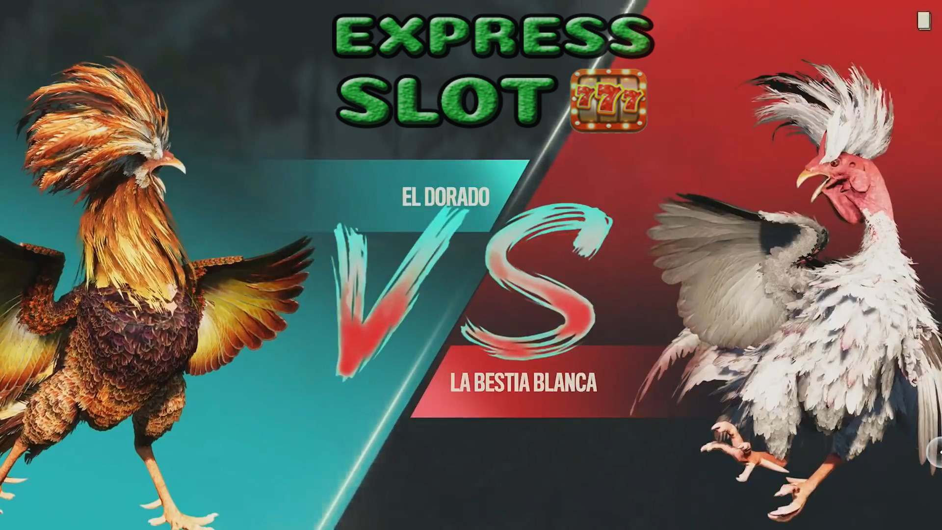 Cara Bermain Judi Adu Ayam Online Auto Cuan – EXPRESS SLOT